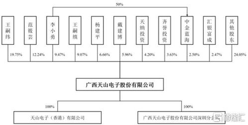 天山電子創(chuàng)業(yè)板ipo,擬募資3.13億元,聚焦定制化液晶顯示屏及顯示模組